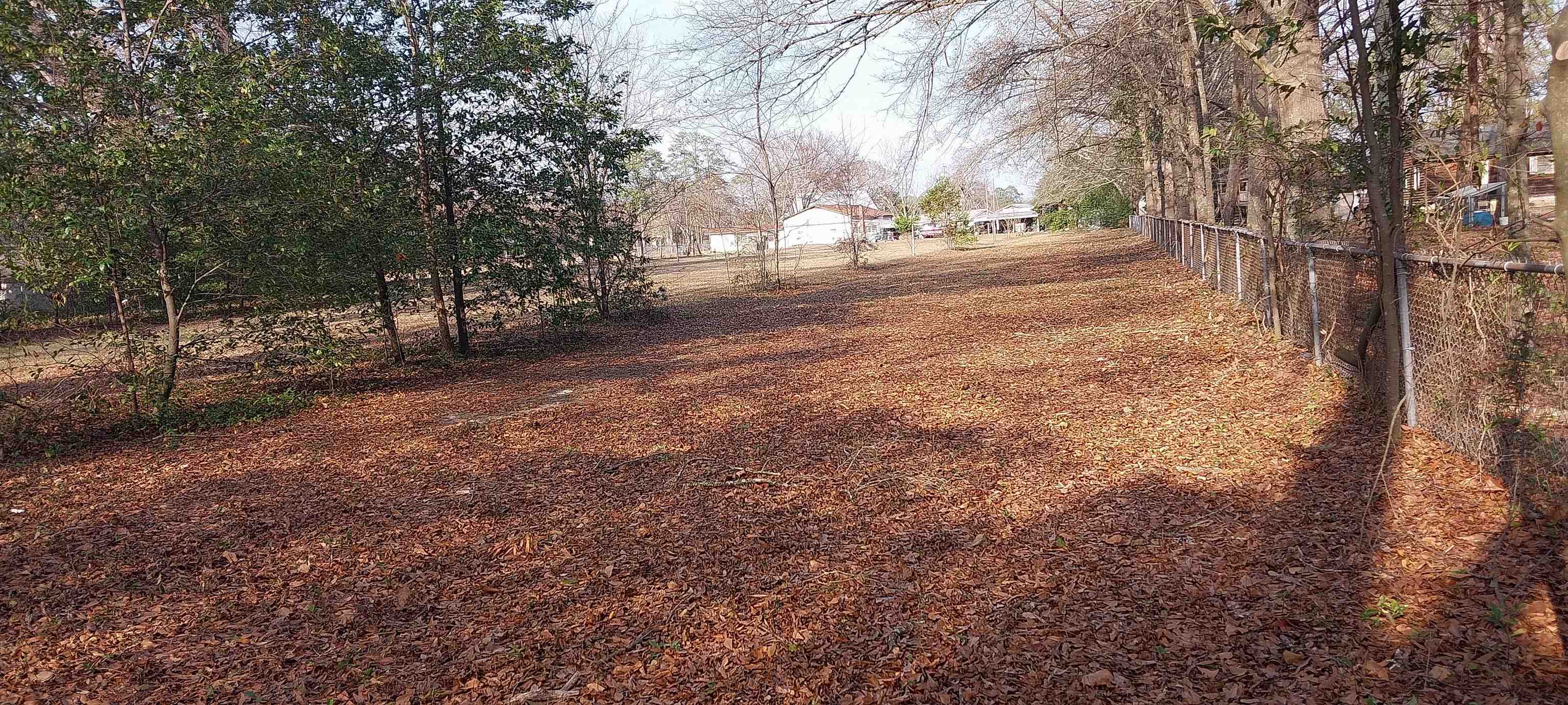 1637 Highway 38 Latta, SC 29565 - Photo 22 of 32