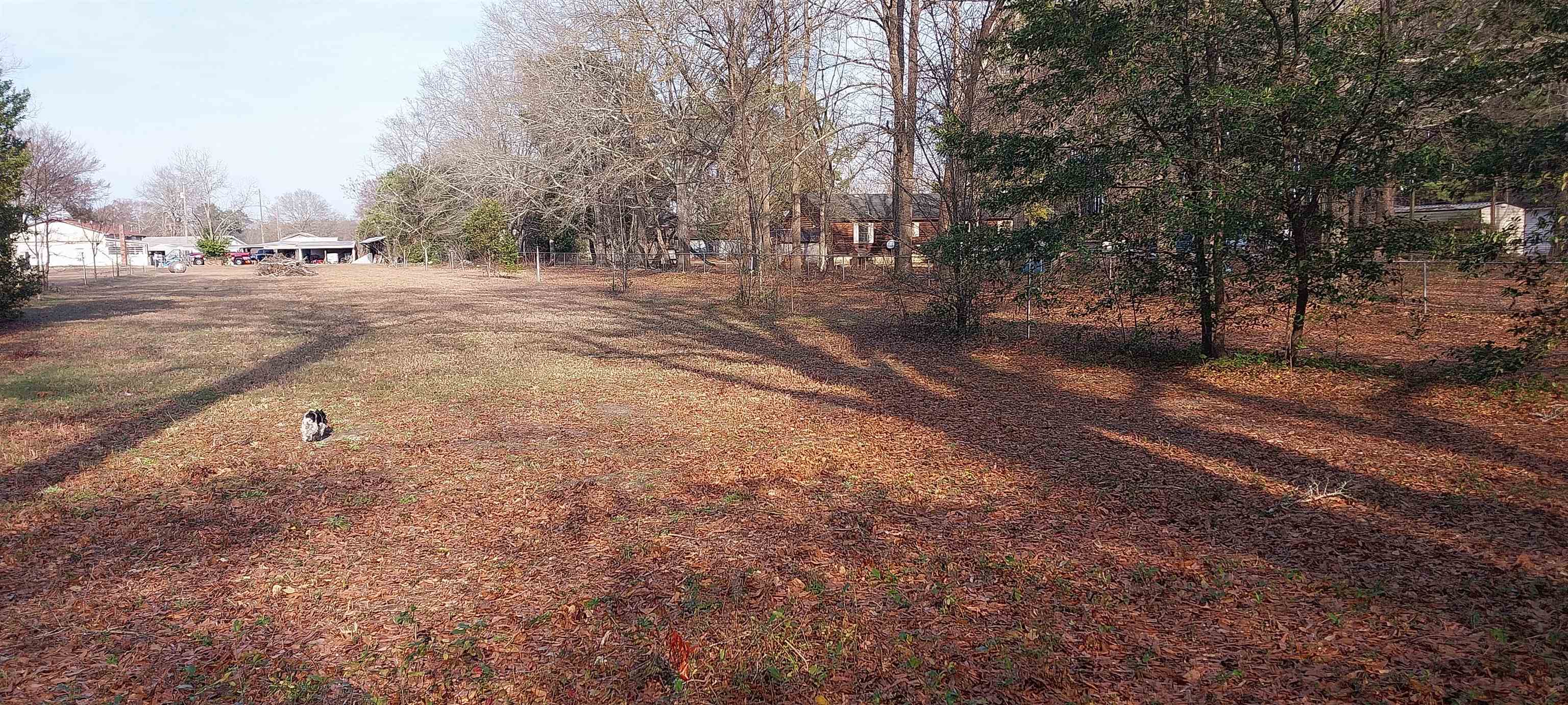 1637 Highway 38 Latta, SC 29565 - Photo 26 of 32