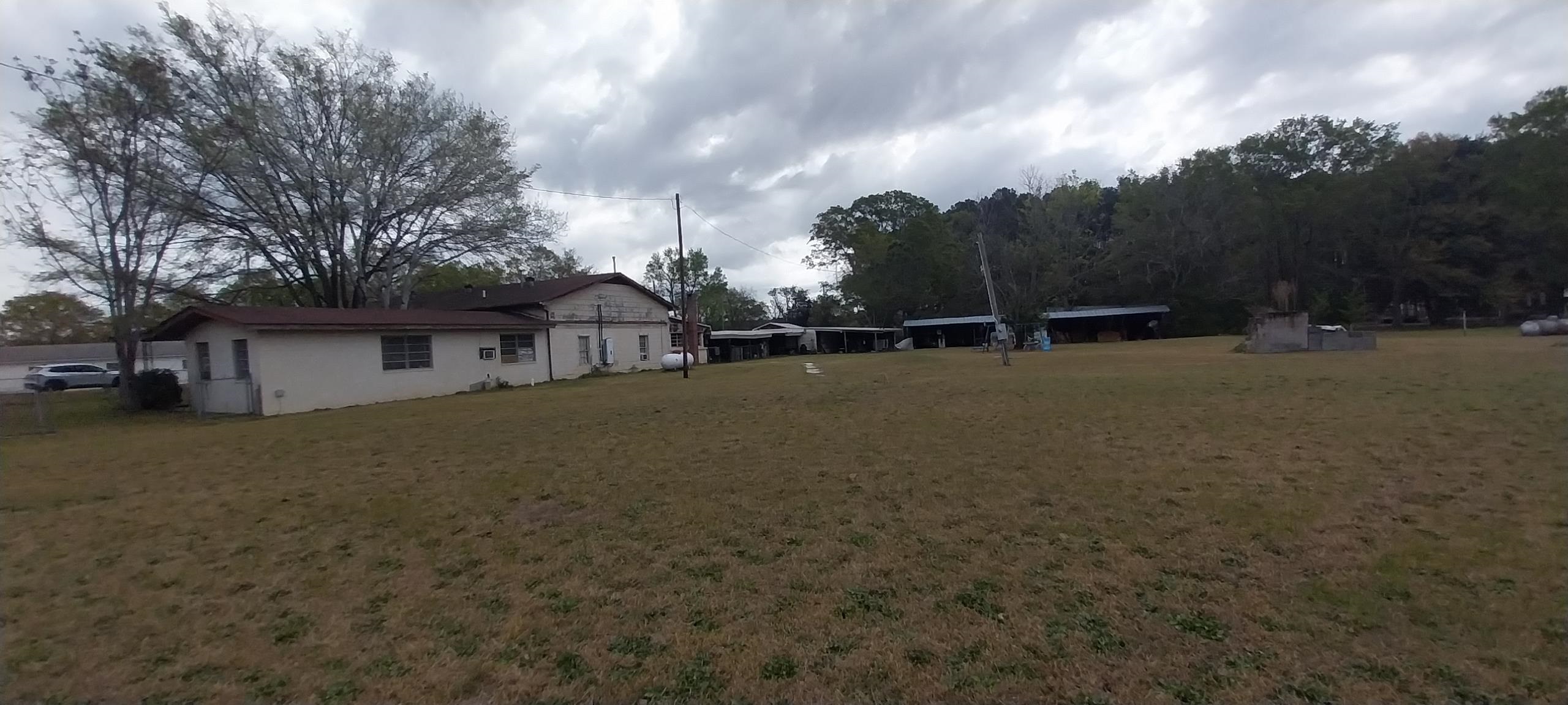 1637 Highway 38 Latta, SC 29565 - Photo 6 of 32