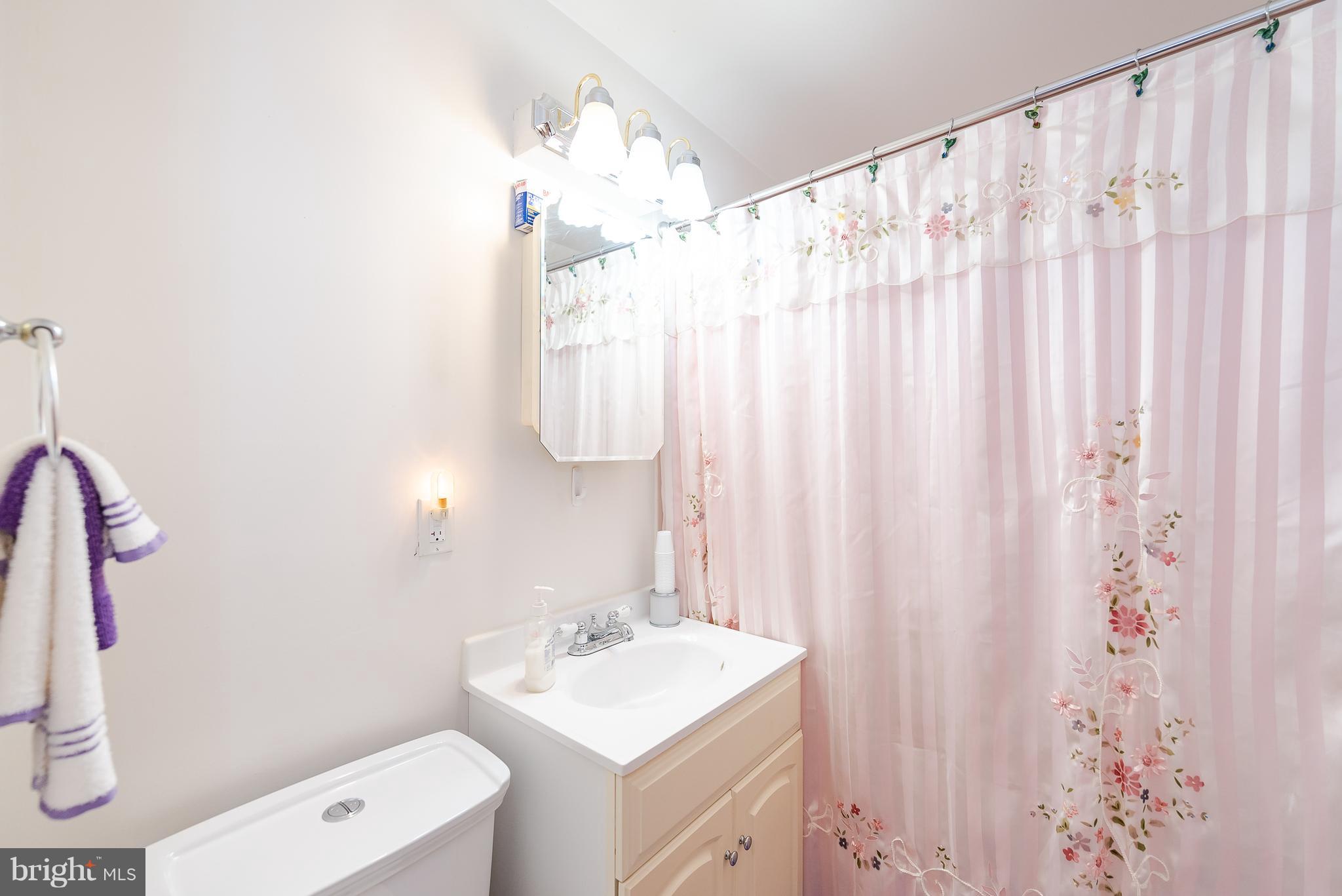 8238 Northview Road Baltimore, MD 21222 - Photo 31 of 42 a bathroom with a sink a toilet and curtain