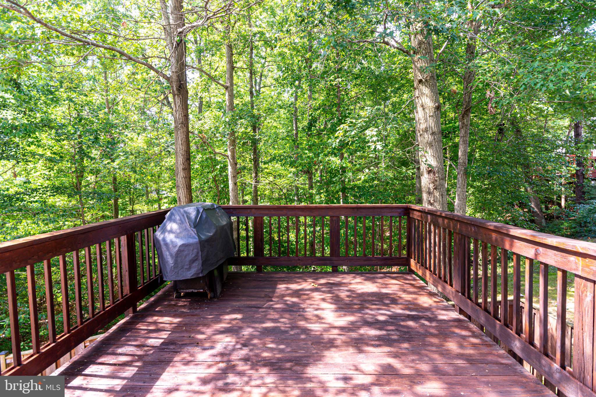 210 Sycamore Ridge Road Laurel, MD 20724 - Photo 17 of 40 Gallery Image 17