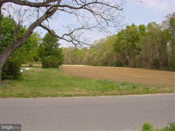204 Cedar Lake Road Newfield, NJ 08344 - Photo 5 of 12 Gallery Image 5
