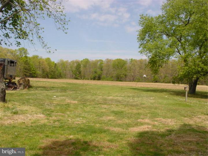 204 Cedar Lake Road Newfield, NJ 08344 - Photo 7 of 12 Gallery Image 7