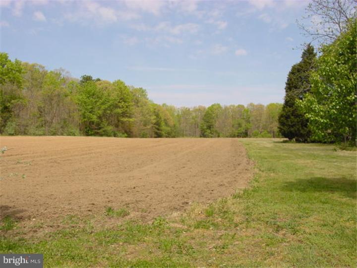 204 Cedar Lake Road Newfield, NJ 08344 - Photo 8 of 12 Gallery Image 8