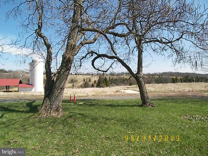 21450 Evergreen Mills Road Leesburg, VA 20175 - Photo 3 of 19 Back yard