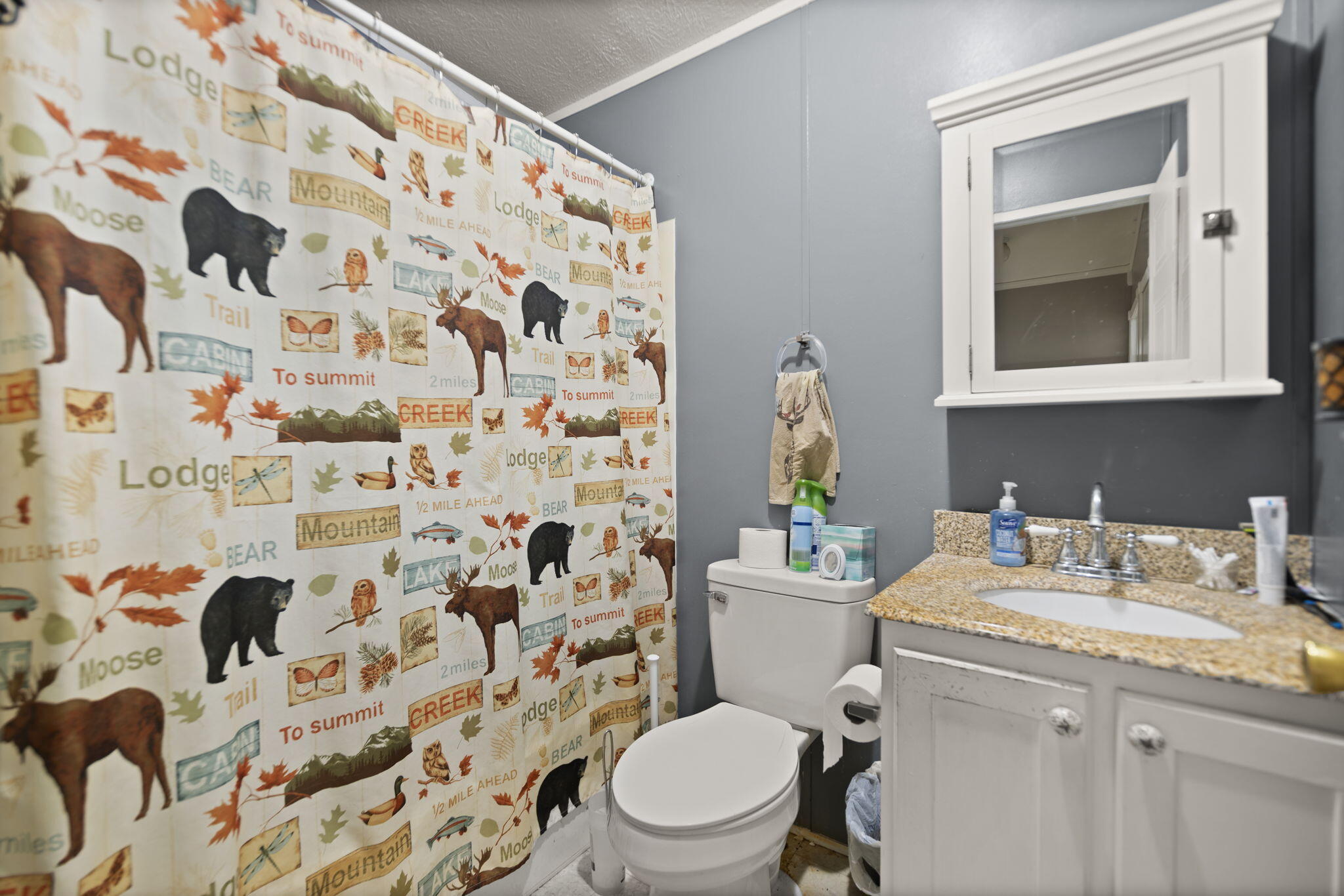 1065 Saplin Fork Road Manchester, KY 40962 - Photo 39 of 68 29-web-or-mls-118A2092