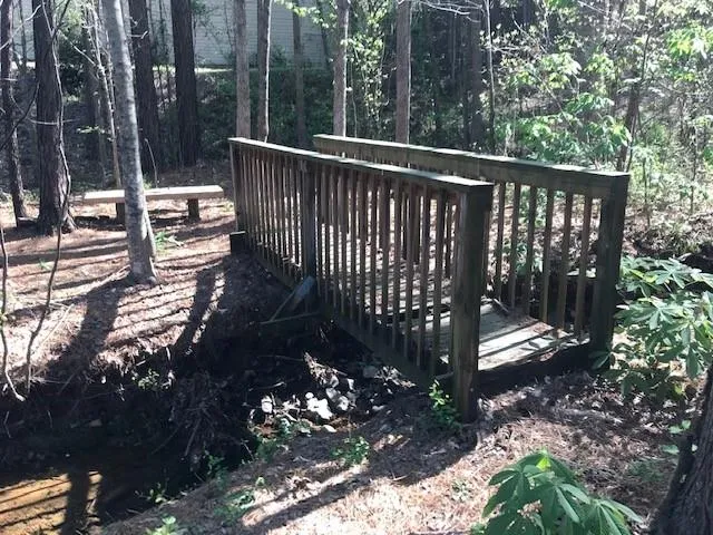 a view of path along with trees