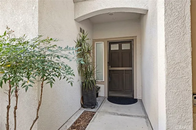a potted plant sitting in front of a door
