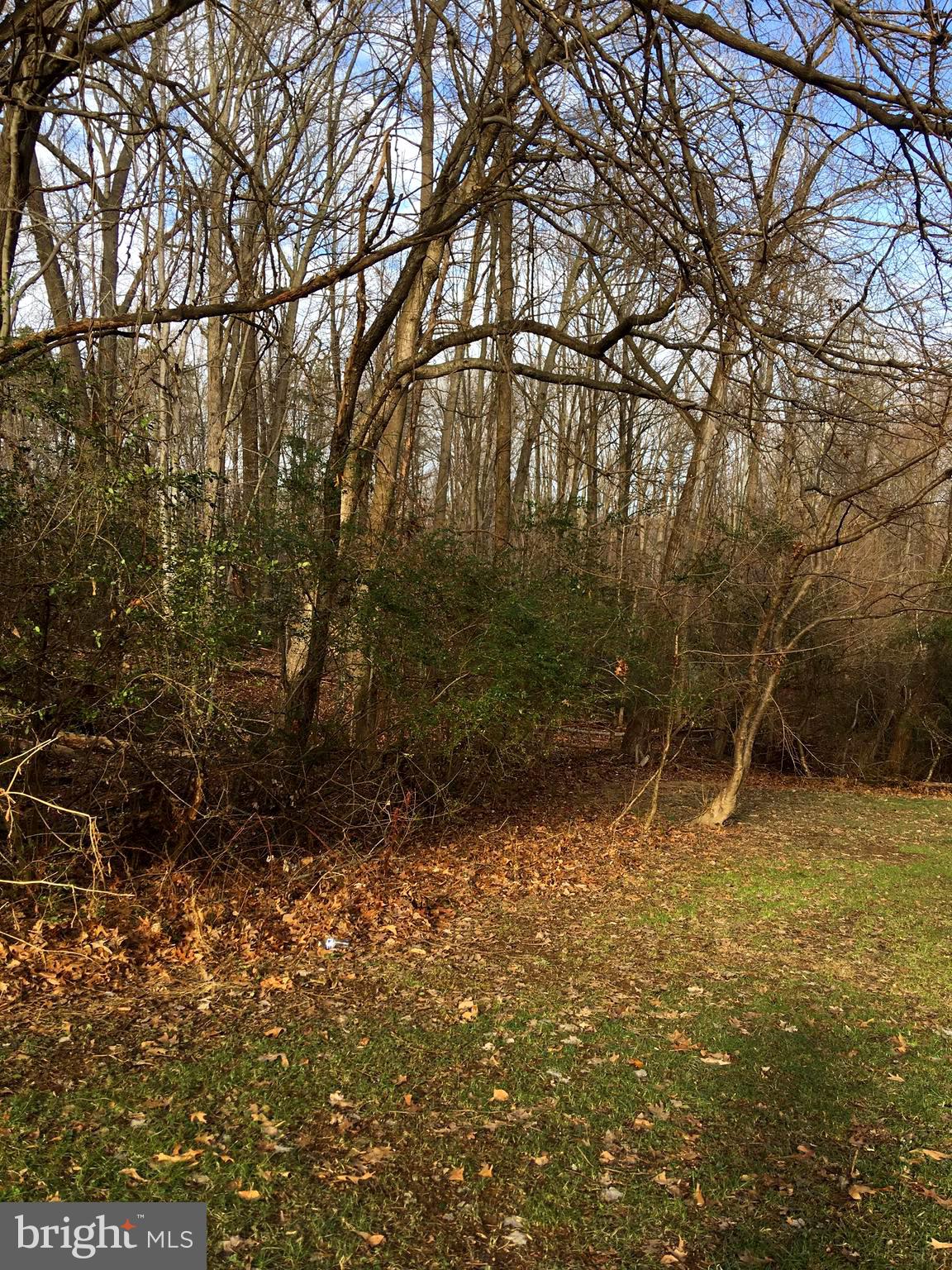 5905 Bayshire Road, Unit 182 Springfield, VA 22152 - Photo 24 of 27 The community affords beautiful greenery (seasonal