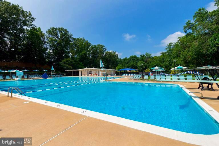 5905 Bayshire Road, Unit 182 Springfield, VA 22152 - Photo 26 of 27 Great outdoor pool!