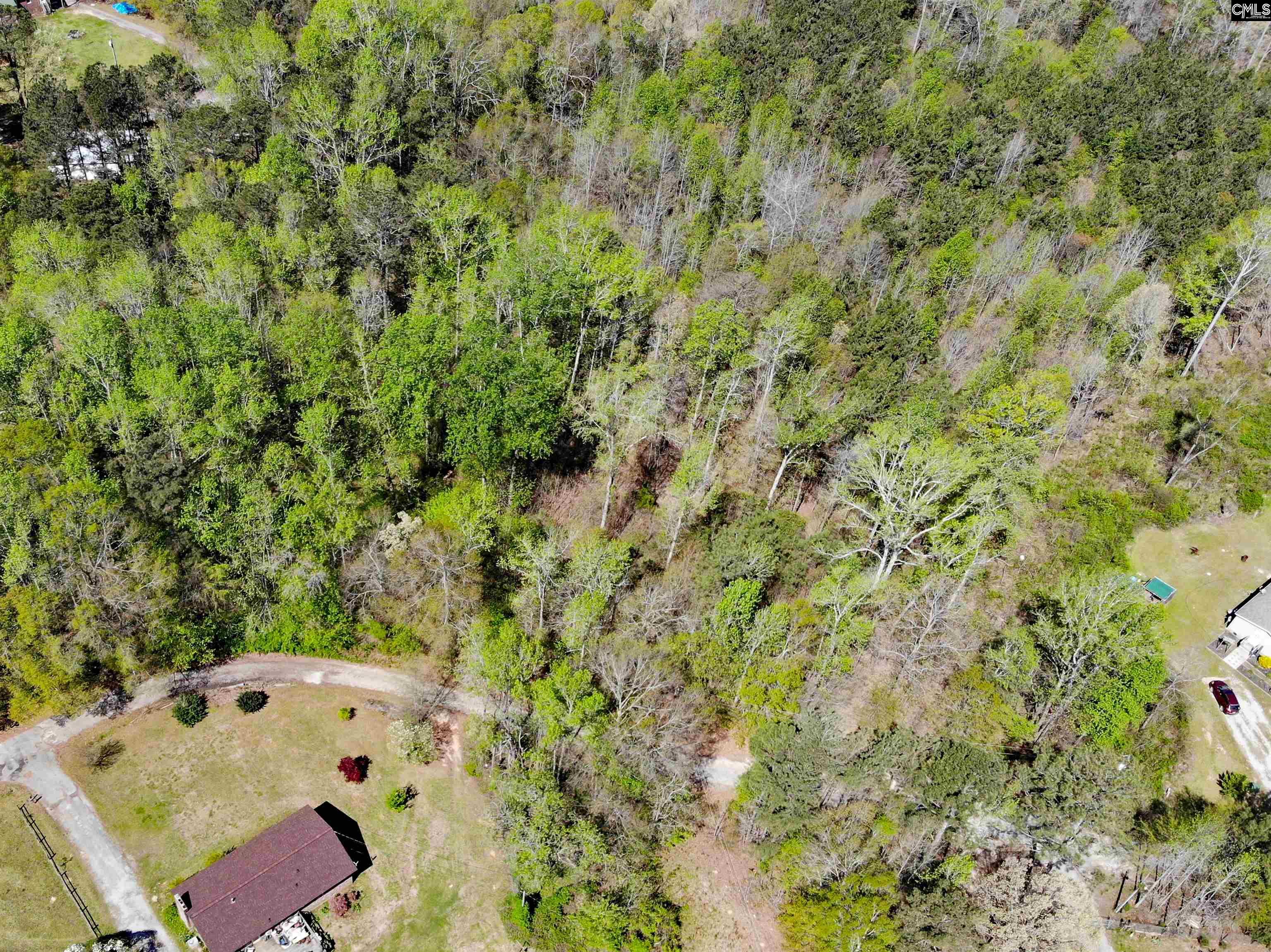 Tbd James Road Joanna, SC 29351 - Photo 8 of 82