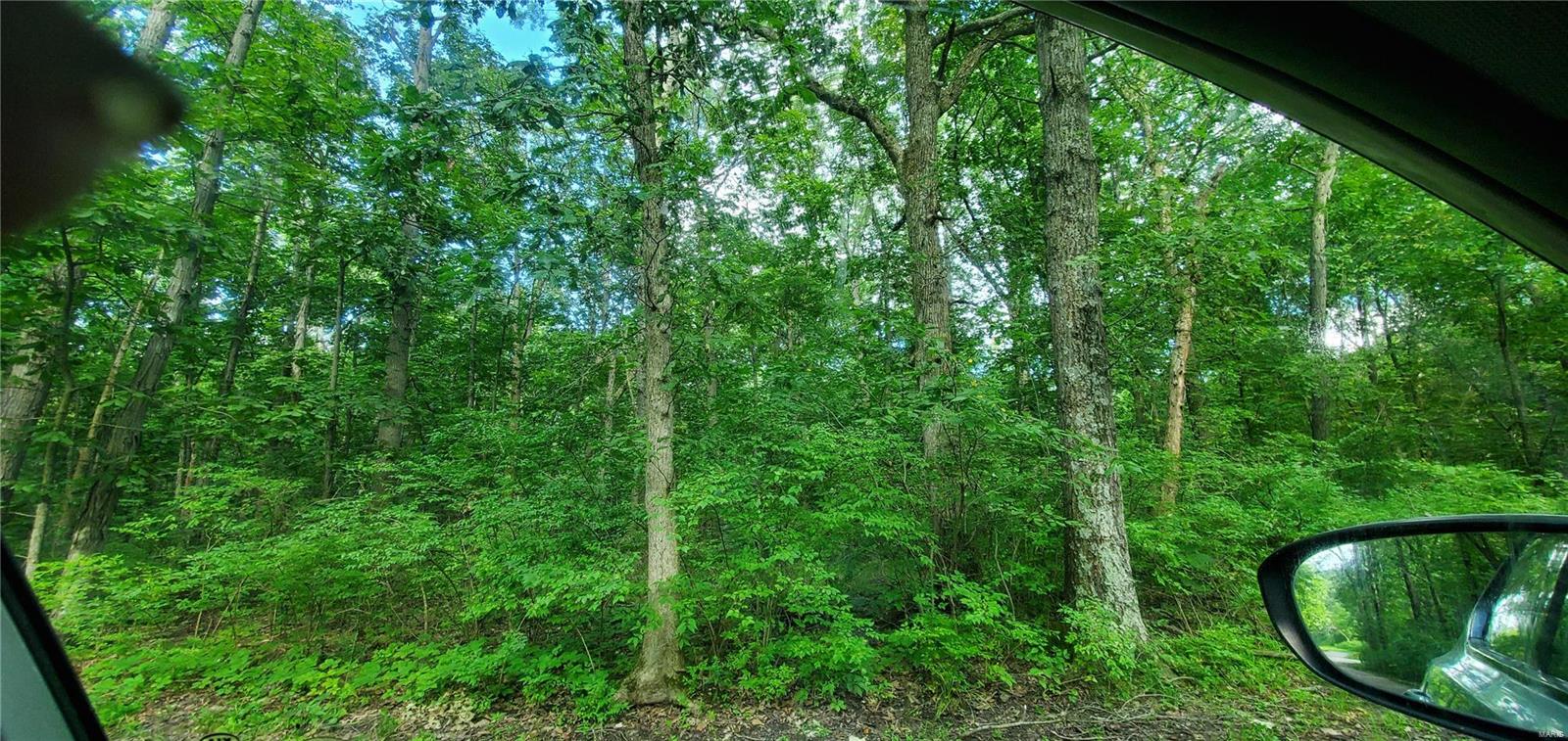 2455 Deer Run Road New Athens, IL 62264 - Photo 17 of 41