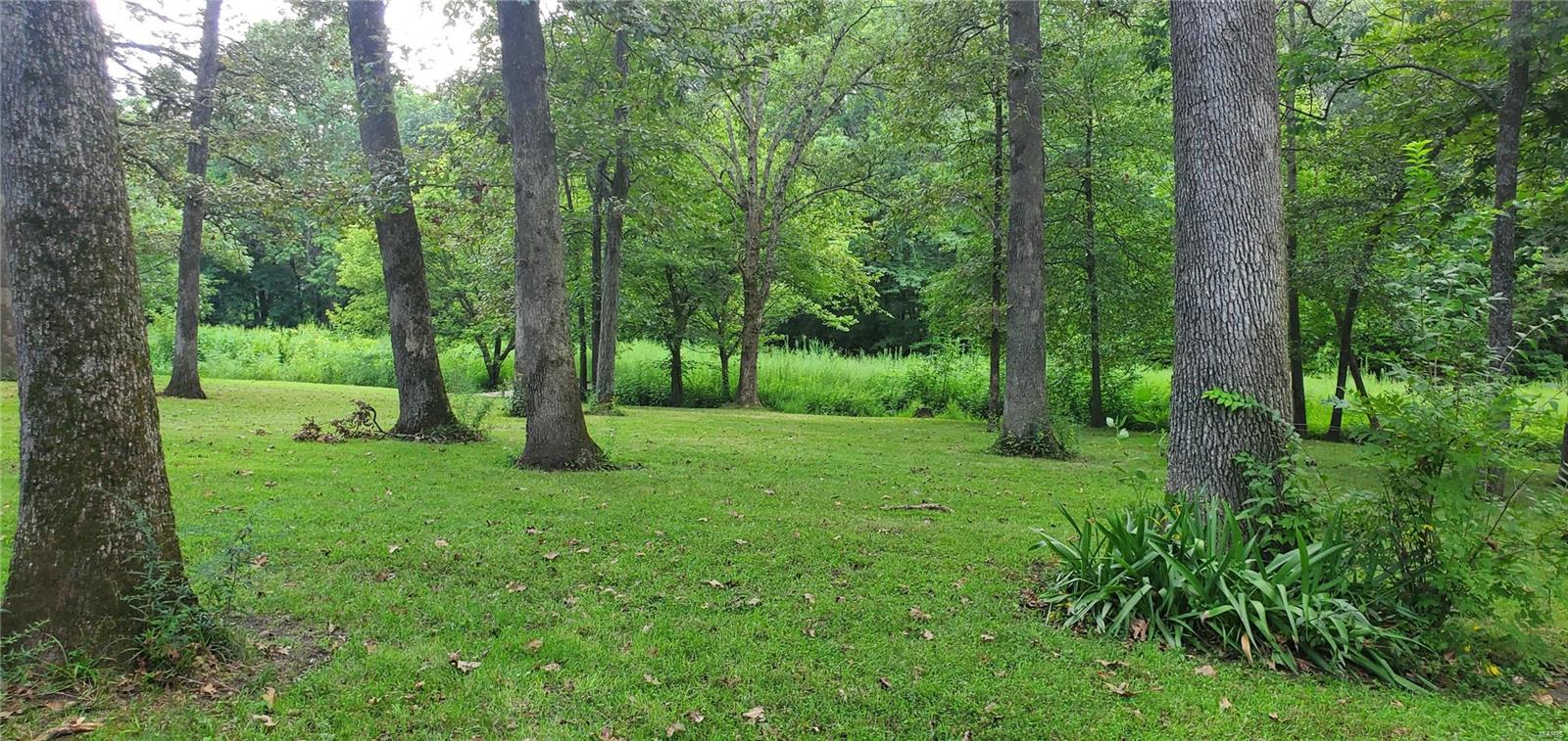 2455 Deer Run Road New Athens, IL 62264 - Photo 26 of 41