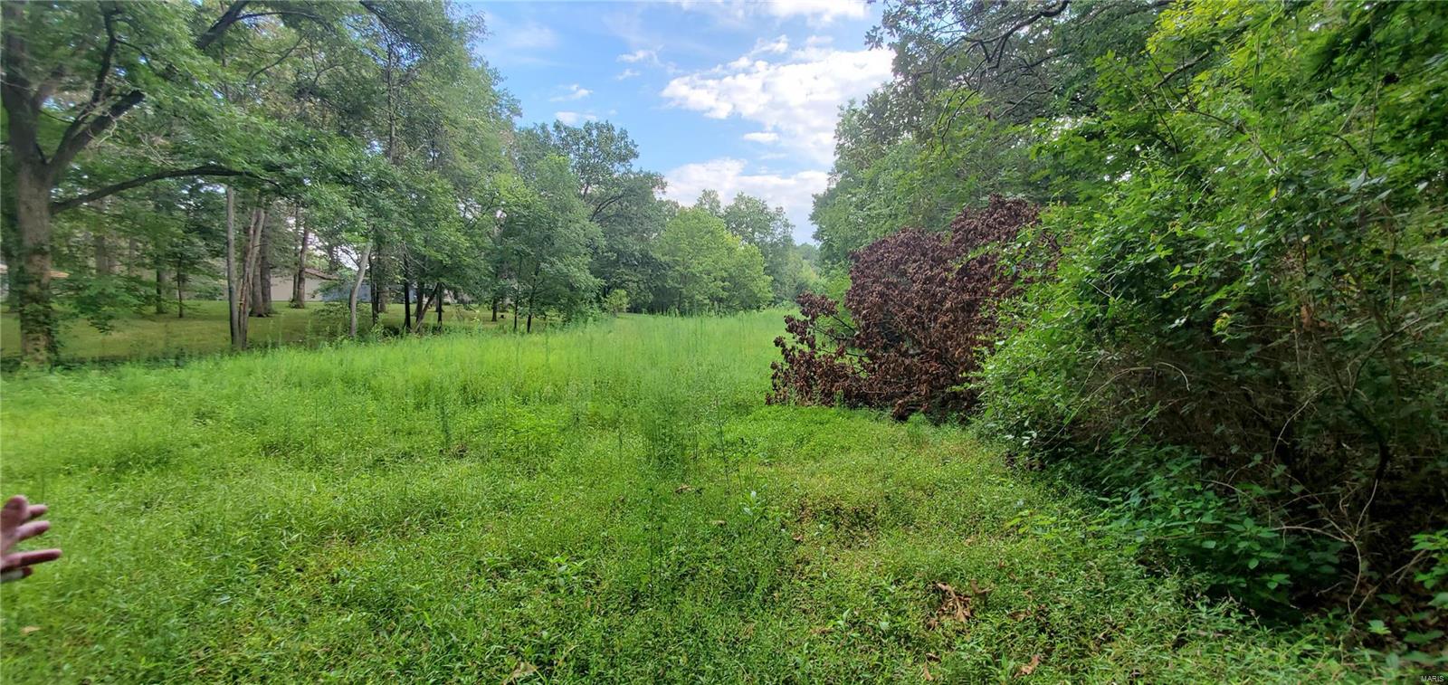 2455 Deer Run Road New Athens, IL 62264 - Photo 27 of 41