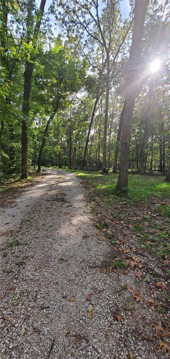 2455 Deer Run Road New Athens, IL 62264 - Photo 28 of 41