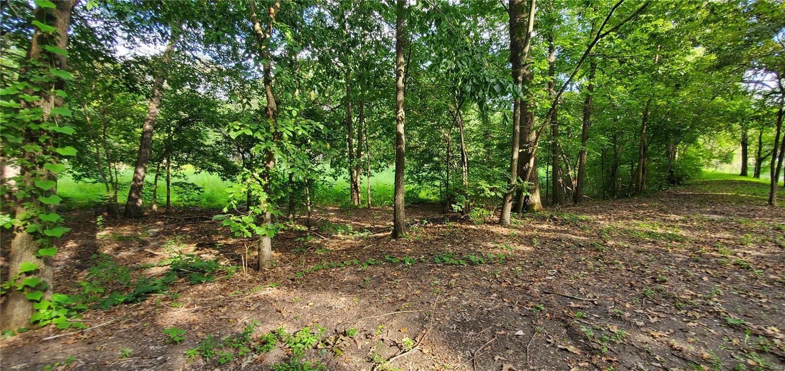 2455 Deer Run Road New Athens, IL 62264 - Photo 32 of 41