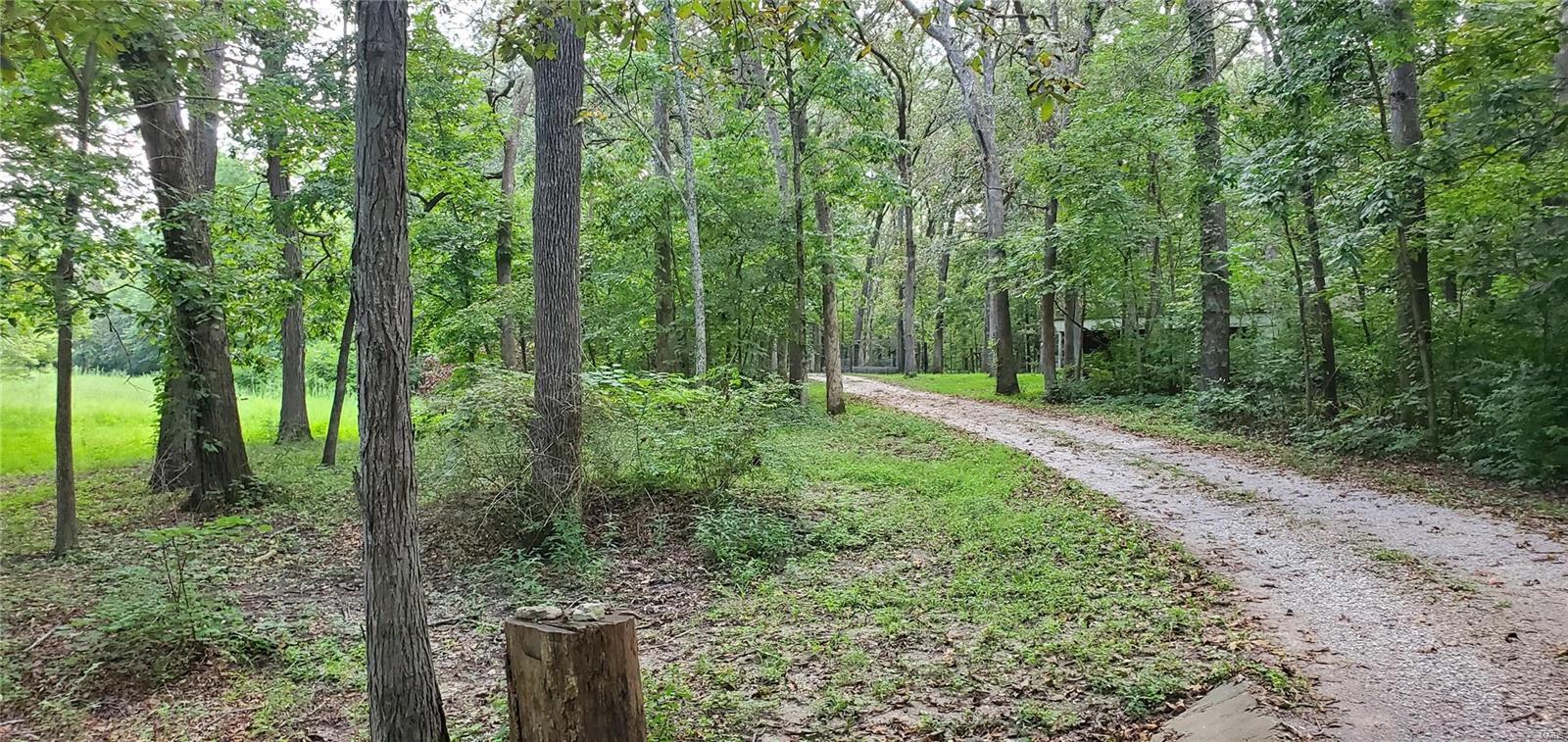 2455 Deer Run Road New Athens, IL 62264 - Photo 36 of 41