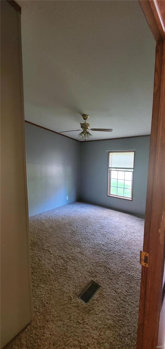2455 Deer Run Road New Athens, IL 62264 - Photo 5 of 41