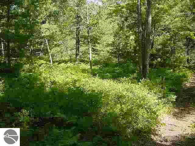 0 Waco Road Houghton Lake, MI 48629 - Photo 4 of 9 1682177-3.JPG
