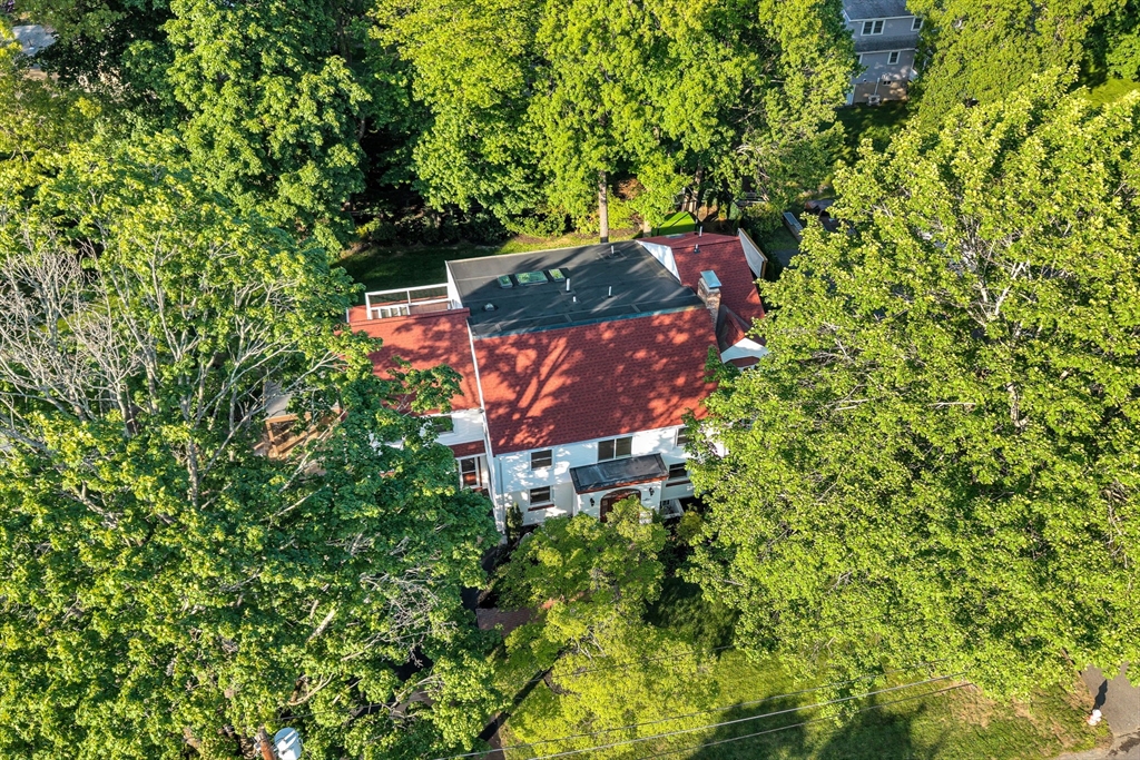 31 Alba Road Wellesley, MA 02481 - Photo 1 of 32