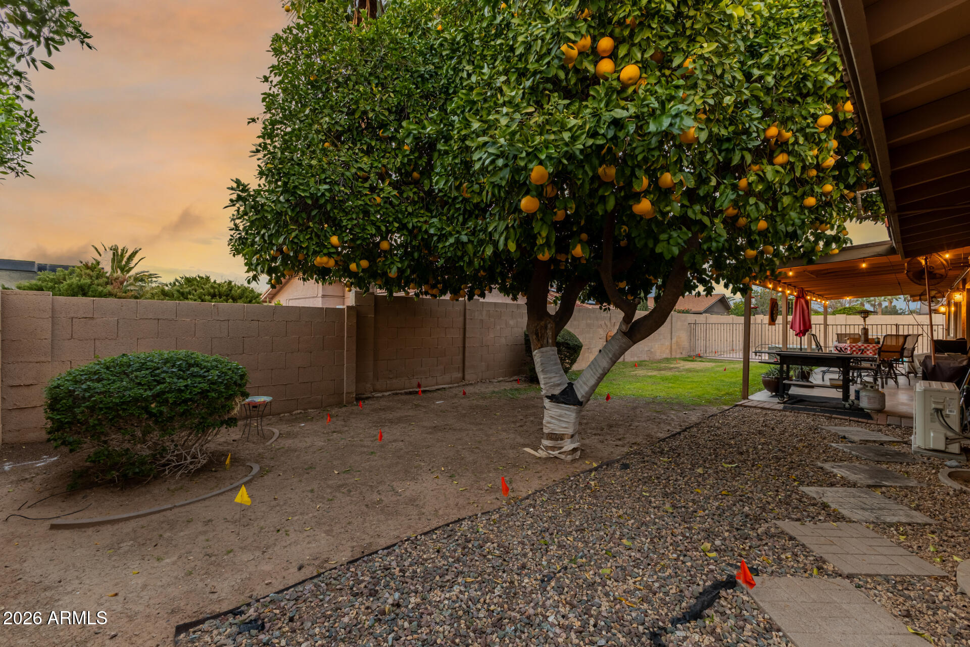 802 West Caribbean Lane Phoenix, AZ 85023 - Photo 39 of 47 a backyard of a house with lots of green space