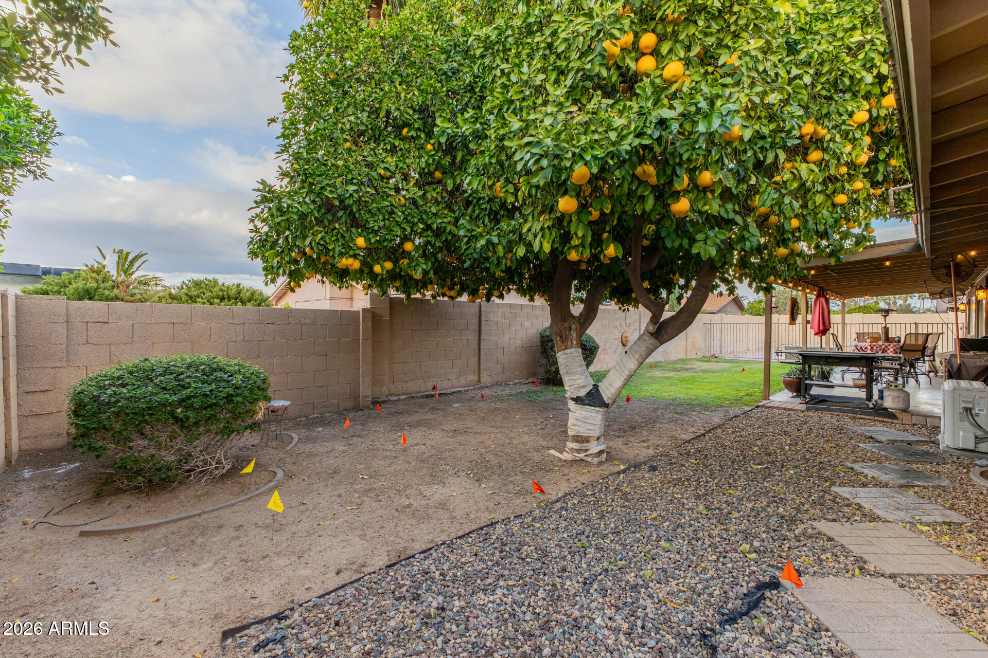 802 West Caribbean Lane Phoenix, AZ 85023 - Photo 41 of 47 a view of a backyard with a garden and entertaining space