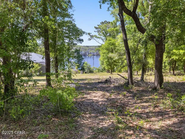 $67,500 | 0 Paradise Lakes Road, Chipley, FL 32428