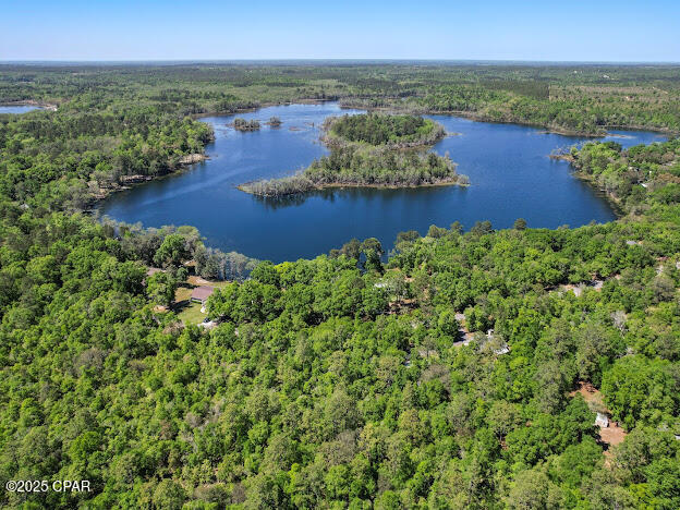 0 Paradise Lakes Road Chipley, FL 32428 - Photo 4 of 7