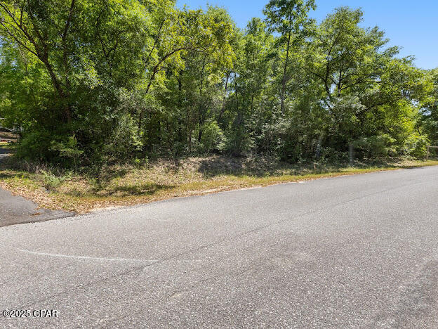 0 Paradise Lakes Road Chipley, FL 32428 - Photo 6 of 7