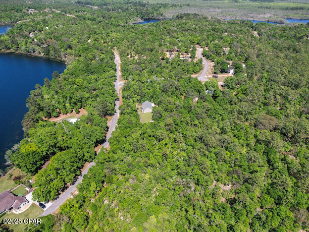 0 Paradise Lakes Road Chipley, FL 32428 - Photo 7 of 7