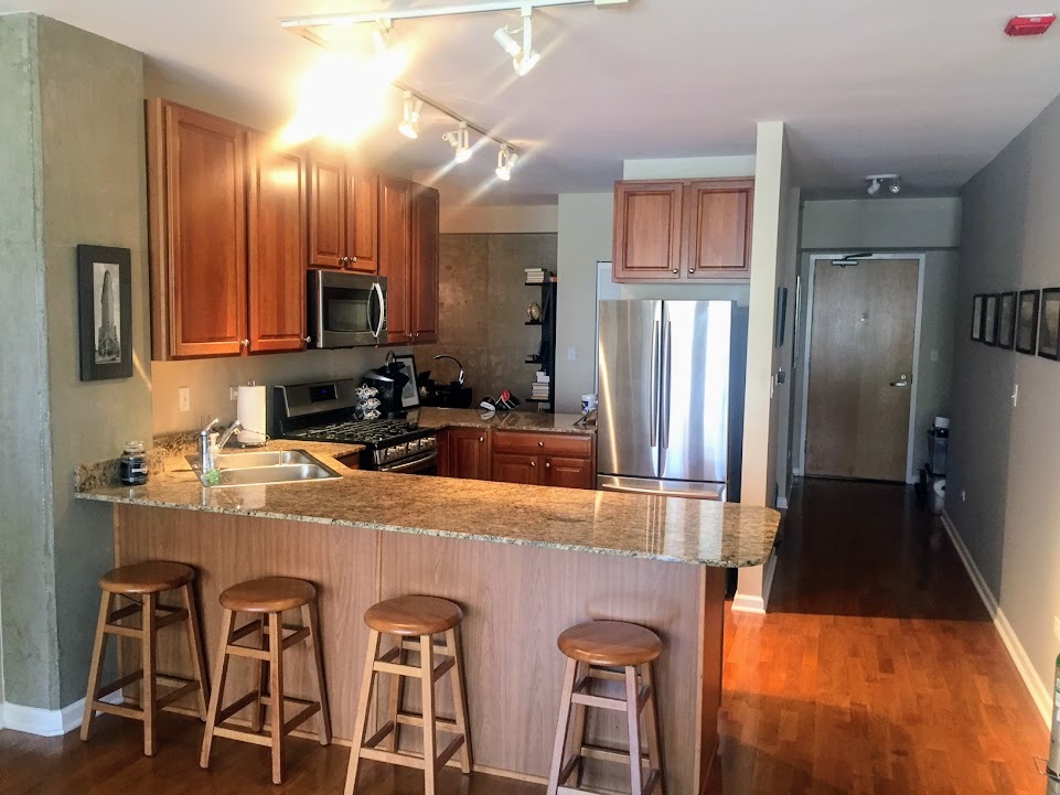 1212 North Wells Street, Unit 502 Chicago, IL 60610 - Photo 6 of 14