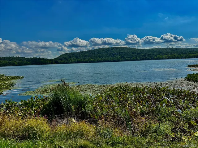 a view of a lake with a mountain
