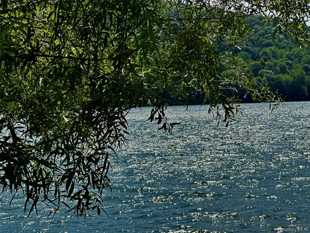 a view of outdoor space with lots of trees