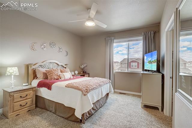 2575 Reed Grass Way Colorado Springs, CO 80915 - Photo 20 of 42 Gallery Image 20