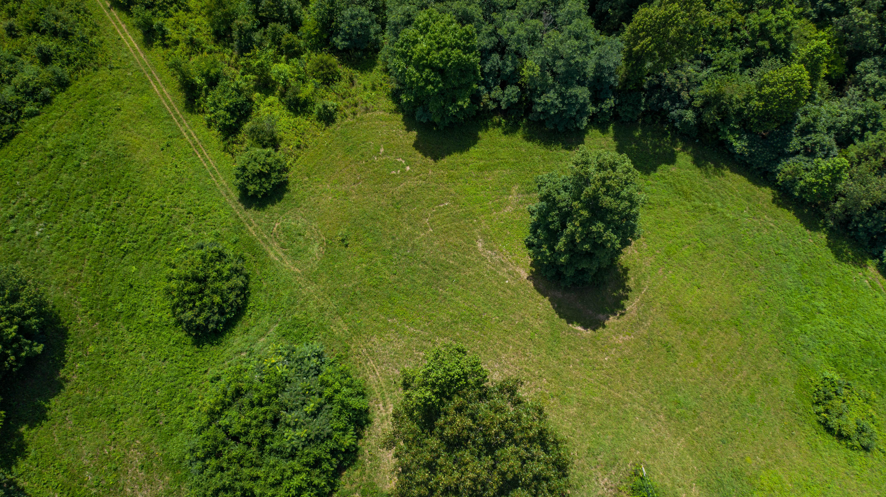 269 Mallard Baye Rutledge, TN 37861 - Photo 6 of 6 DJI_0694
