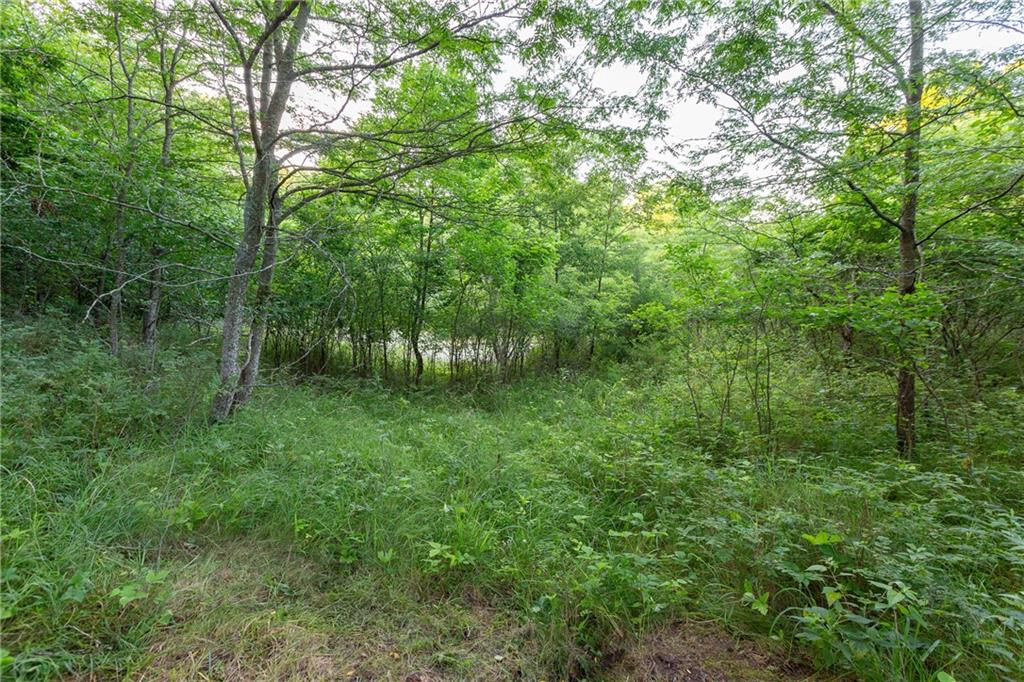 33200 East Hammond Road Lone Jack, MO 64070 - Photo 75 of 76
