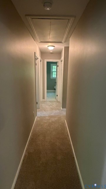 10731 Spring Run Road Chesterfield, VA 23832 - Photo 17 of 49