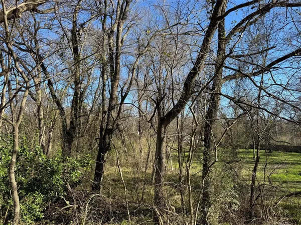 $21,000 | 0 Maple, Gun Barrel City, TX 75156