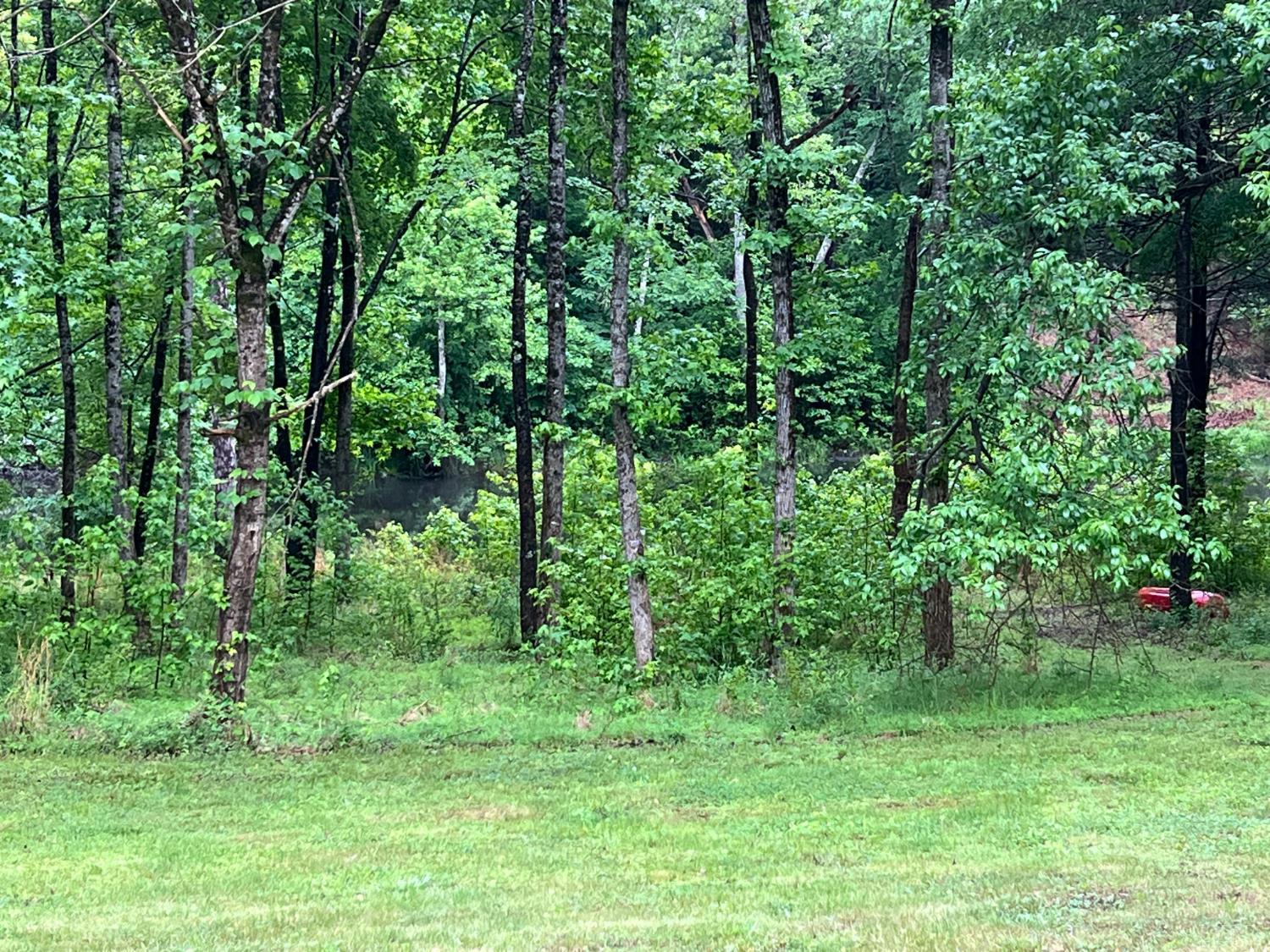 3101 Cody Road Nathalie, VA 24577 - Photo 11 of 16