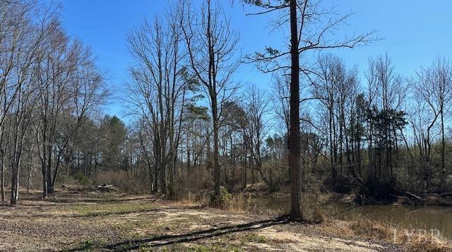 3101 Cody Road Nathalie, VA 24577 - Photo 5 of 16