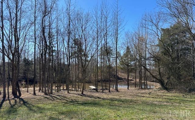 3101 Cody Road Nathalie, VA 24577 - Photo 6 of 16