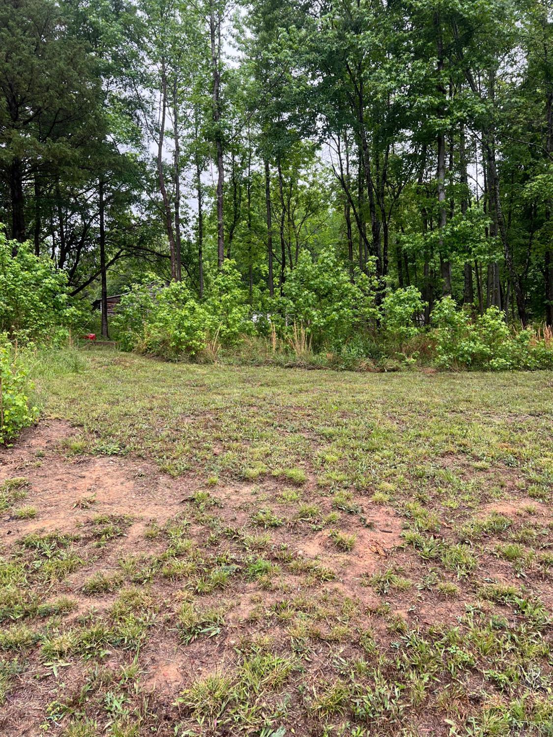 3101 Cody Road Nathalie, VA 24577 - Photo 8 of 16