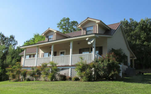 Main View