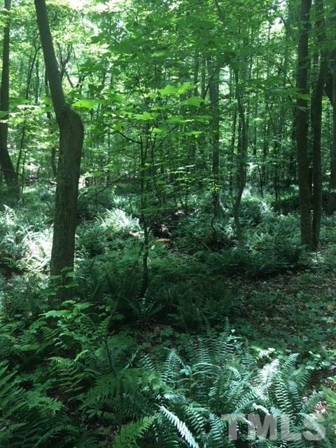 0 Sheep Rock Road Snow Camp, NC 27349 - Photo 2 of 20 Gallery Image 2