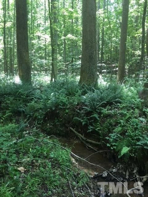 0 Sheep Rock Road Snow Camp, NC 27349 - Photo 11 of 20 Gallery Image 11