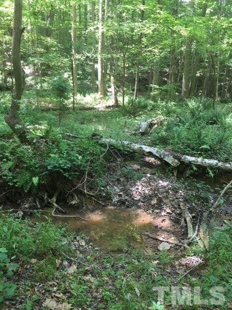 0 Sheep Rock Road Snow Camp, NC 27349 - Photo 12 of 20 Gallery Image 12