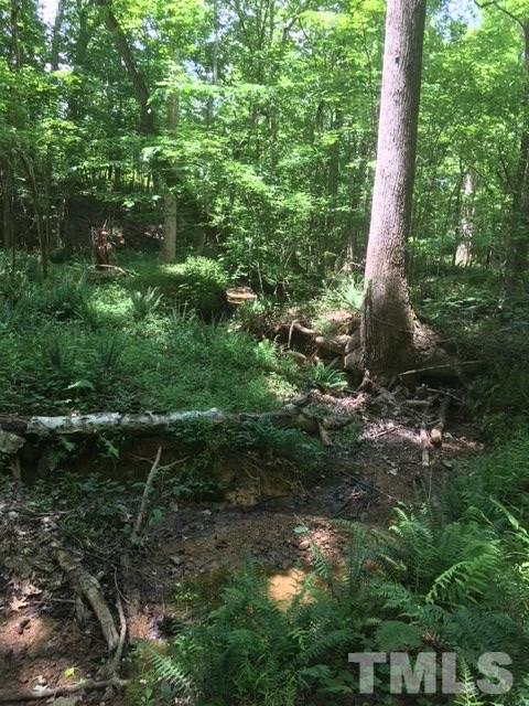 0 Sheep Rock Road Snow Camp, NC 27349 - Photo 13 of 20 Gallery Image 13