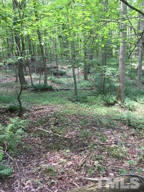 0 Sheep Rock Road Snow Camp, NC 27349 - Photo 14 of 20 Gallery Image 14
