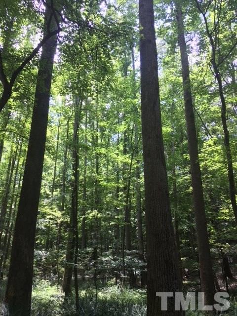 0 Sheep Rock Road Snow Camp, NC 27349 - Photo 15 of 20 Gallery Image 15