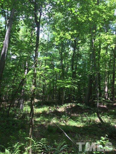 0 Sheep Rock Road Snow Camp, NC 27349 - Photo 17 of 20 Gallery Image 17